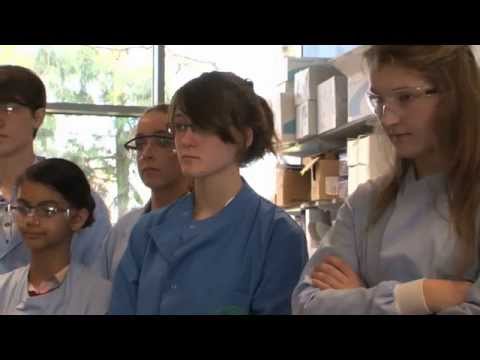 A workshop for schools at Oxford Vaccine Group