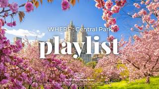𝐏𝐥𝐚𝐲𝐥𝐢𝐬𝐭 | Ah.. I miss cherry blossoms..🌸 Feel-good pop songs🩷 Upbeat Spring acoustic pop