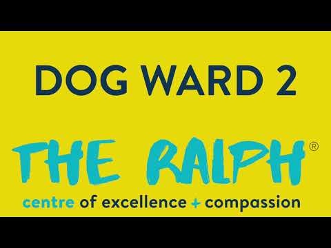 Introducing our Dog Ward 2!