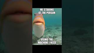 Gotta let them know you're waiting#memes #gym #humor #lifting #fitness