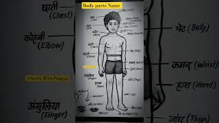 Body parts Names in English / body parts Names English and Hindi for kid's @studywithpragya15