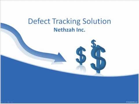 Nethzah's Defect tracking Solution (http://www.nethzah.com/)