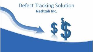 Nethzah's Defect tracking Solution (http://www.nethzah.com/)