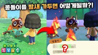 콩돌이를 집에 못가게 가둬버리면 어떻게 될까?! 😮 모동숲 실험