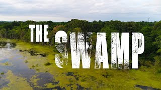 KEN HERON - Drone the SWAMP - DJI Phantom 4 Pro [4K]