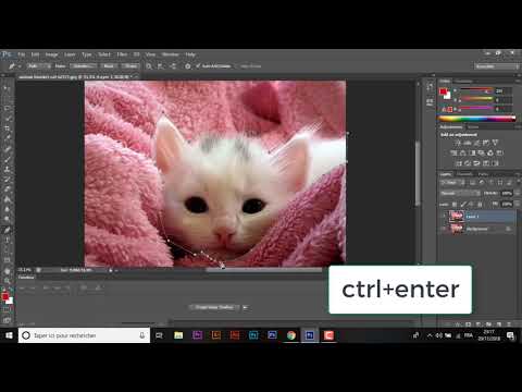 photoshop tutorial for beginners - pink cat