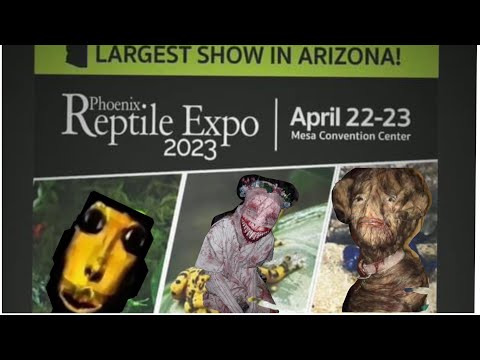 Phoenix Reptile Show 2023! Total Break Down
