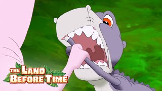 Why Did My Tooth Fall Out? | Full Episode | The Land Before Time
