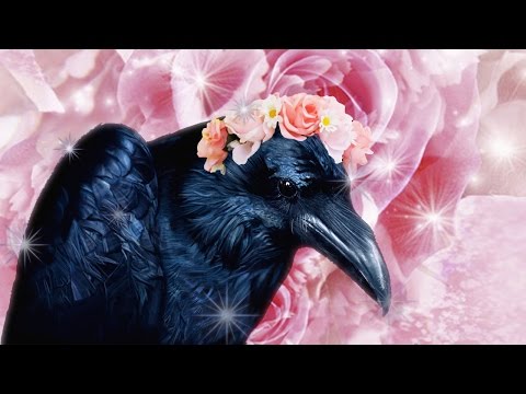 Watch if you think EVERY crow is beautiful! The Last Door Part 2