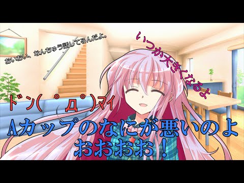 【ゆっくり茶番劇】最弱で最強の男が転生した？！#16「バトル」