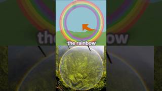 😮RAINBOWS have NO END?! PROOF & Explanation from Helicopter🚁🌈View #rainbow