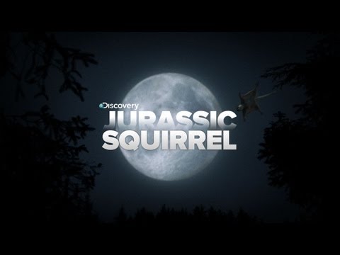 Prehistoric Flying Squirrels Take Flight!
