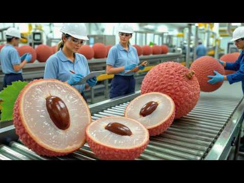 Inside a High-Tech Lychee Juice Factory | Full Process From Fruit to Bottle (Factory ASMR)