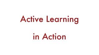 Active Learning in Action