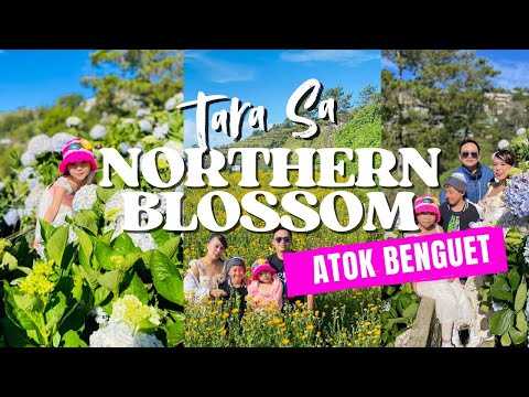 Tara sa Northern Blossom, Atok, Benguet