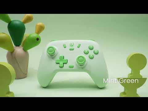 GameSir T4 Nova Lite Review – Best Budget Hall Effect Gamepad for Switch