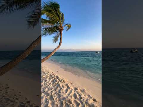 Dreamy sunset in Maldives! #maldives #travel