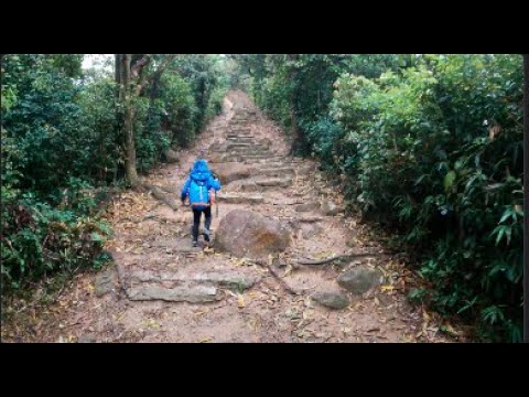 OBTV -High Junk Peak