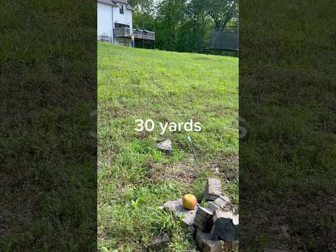 Shooting an apple with no sights!!!