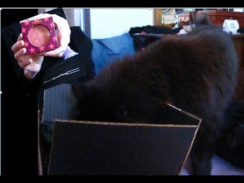 Just In! M.A.C Nutcracker Sweet (or very sour) Collection video (aka: From Cat to MAC to Crap)
