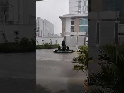 "Heavy rain in a place no one wants to go." #naturesounds