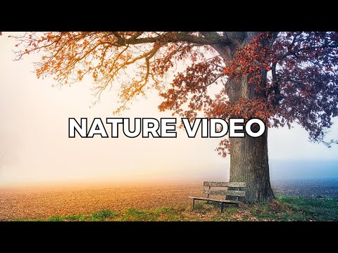 "Exploring the Wonders of Nature: Top Destinations for Nature Lovers"
