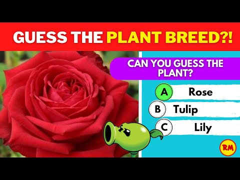 🌿🔥 VIRAL Challenge: Identify the Mystery Plant in 3 Seconds! 🌱🚀 | Ultimate Botanical Brain Teaser!
