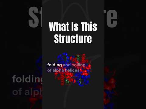 How To Understand Protein Structure |#proteinscience #scienceshorts #alphafold #scienceexplained
