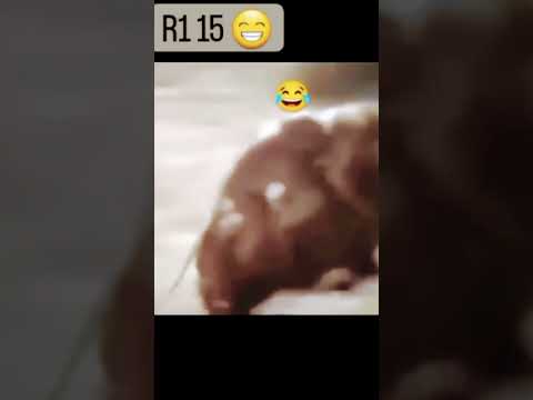 myfriend after getting late for School #funnyshorts #foryou #youtubeshorts #love #youtube #attitude