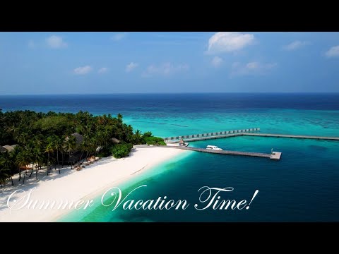 Vacations Vibes! 🐳Full Relaxation & Harmony, Nature Music (Healing by Energy of Nature)!