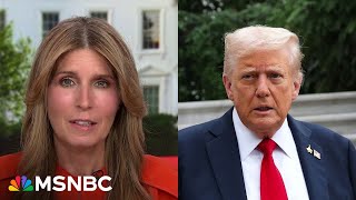 'Childish, crass, vulgar, dumb': Nicolle Wallace reacts to President Trump's AI posts