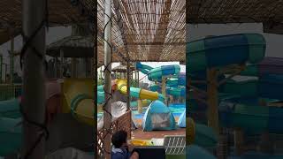 Yomiuri Land has it all! 🏰 From thrilling rides #Yomiuri #Yomiuriland #japansummer