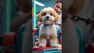 #foryourpage #cute #funnyanimals #aicreatortools