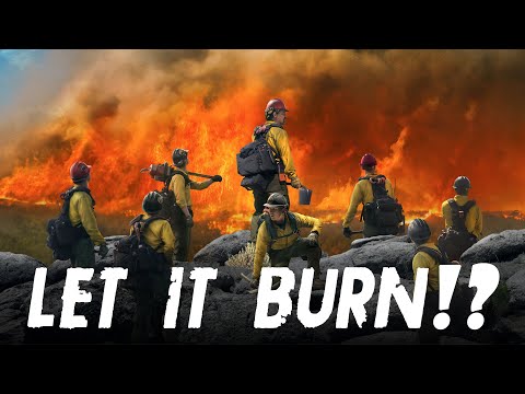 Tasmania Fire 2019: Science behind Wildfires in Australia