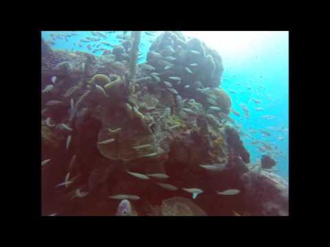 Rebreather Cartagena