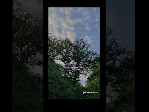 koode neeyillenkil ini njn illalloo❣️#instagood #trendingvideo #music #naturesounds