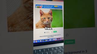 Useful websites for creators #backgroundremover #sitesforcreators #editingtips