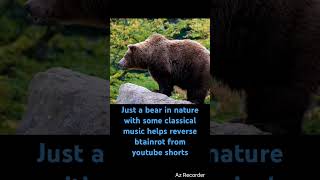 helps reverse brain rot