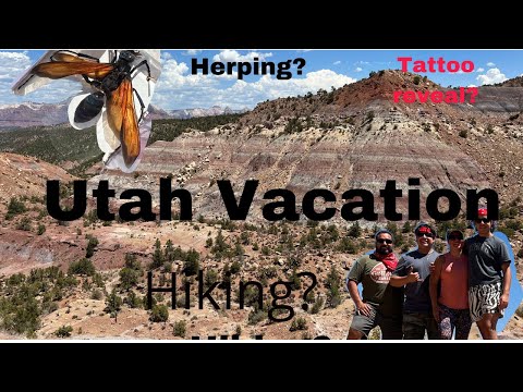 Utah Family Vacation! Herping? Hiking? TATTOO REVEAL!!!!