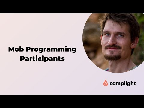 Mob programming participants