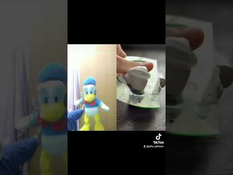 donaldducc TTFN