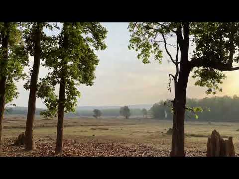 The sun rises at Kanha