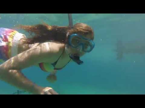 SCORPIOS ISLAND SCUBA DIVING