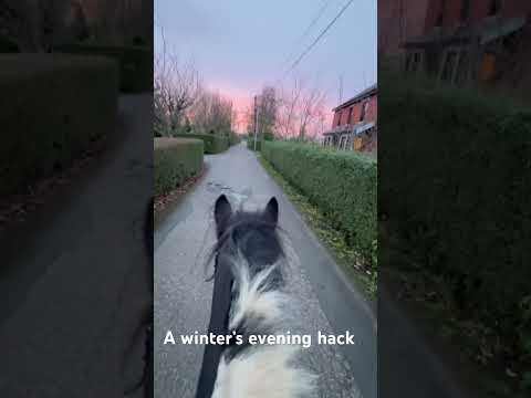 #horse #equestrian #pony #horsegirls #horsegirl #riding #horsebackriding