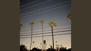 Culture War (This Virus)