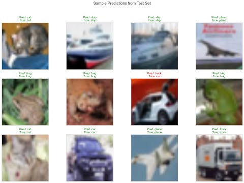 PyTorch Transfer Learning: From Zero to Image Classifier Hero! (ResNet/VGG Full Code)