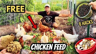 How to Feed Chickens for FREE (6 Proven Ways to Cut Feed Costs!)