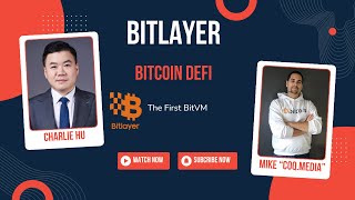 Bitcoin Defi?! Bitlayer's first Bitvm platform