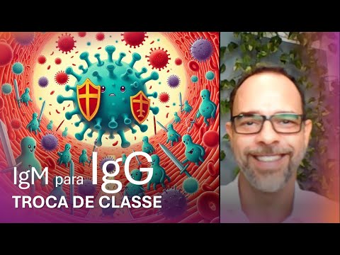 Mini Vídeo: Troca de classe de anticorpos