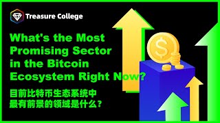 What’s the most Promising Sector in the Bitcoin Ecosystem Right Now?